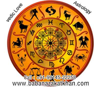 Muslim Astrologer jyotish astrology horoscope service top best astrologers in ludhiana punjab india